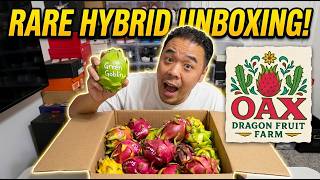 Dragon Fruit Rare Hybrid Unboxing
