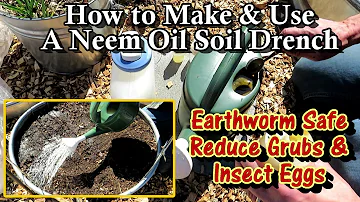 How to MAKE & APPLY a Neem Oil Soil Drench: Reduce Grubs, Eggs, Mites, Soft Bodied Insect, and More!