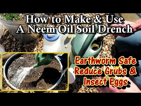 Video: Soil Drench Technique – Leer meer over de toepassing van grond doordrenkt in tuinen