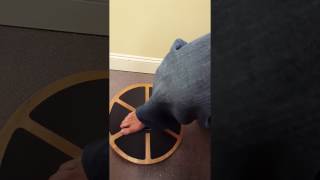 GoFit Board