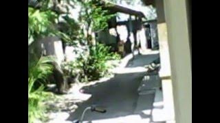 Suasana di kampung 2
