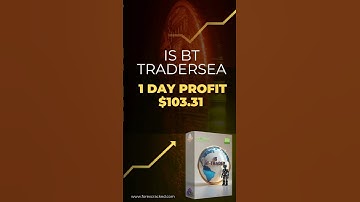 IS BT TraderSea Review: $100 Profit in Just 1 Day! #trading #forextrading #forex #mt4ea #forexrobot