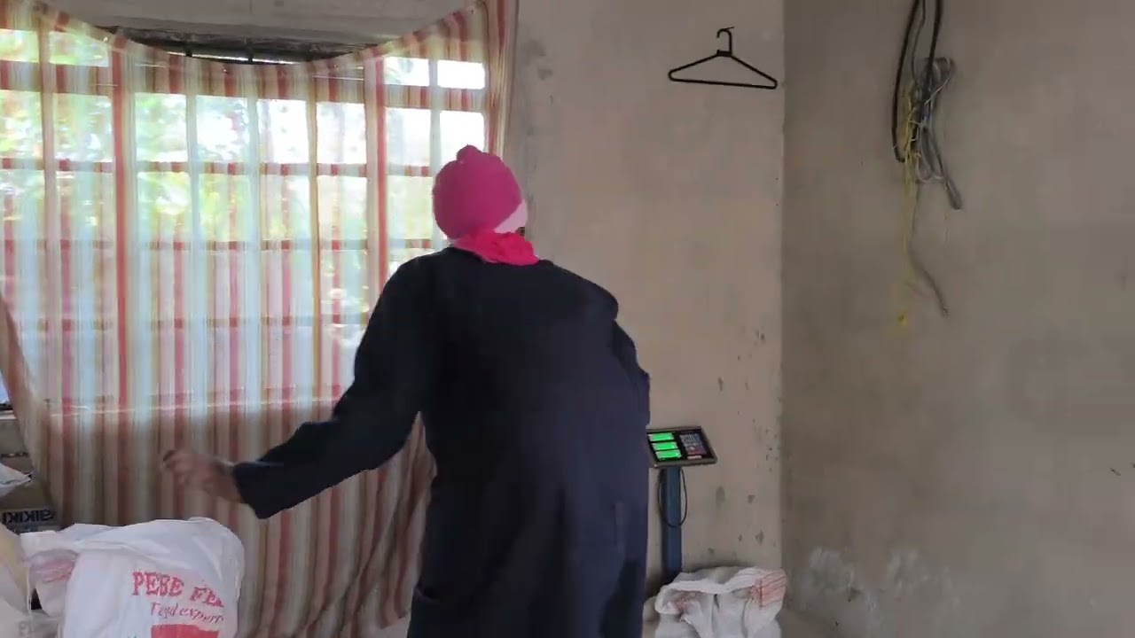 Unwinding at the Coop | Cholla Farm Evening Routine (No Voice Over, Just Real Farm Sounds)