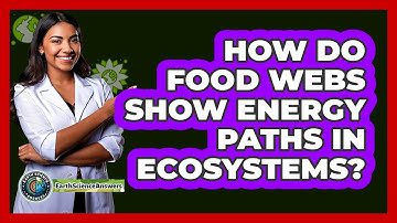 How Do Food Webs Show Energy Paths In Ecosystems?