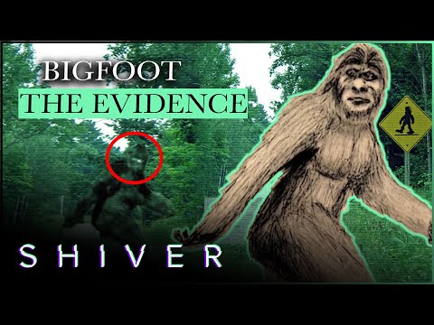 SHIVER'S BOOGEYMEN: DARK SHADOWED FIGURES AND BIGFOOT