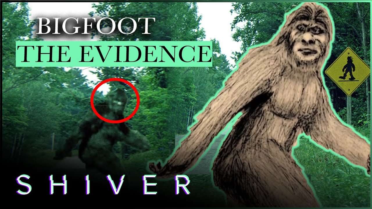 Documentary backdrop image for Shiver's Boogeymen: Dark Shadowed Figures and Bigfoot (2019)