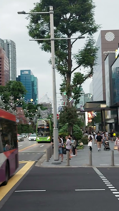 Singapore High Street !! | 4K