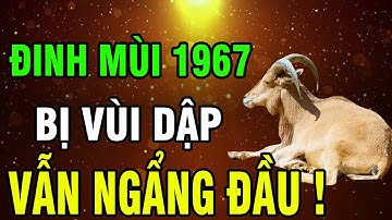 Đinh Mùi 1967 Cuộc Đời Khổ Vì Có Căn Trả Nghiệp - Hậu Vận Là Đại Phúc Nếu Xuất Hiện 8 Dấu Hiệu Này!
