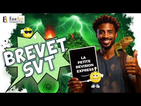 Révision Express SVT Brevet : On se prépare pour l'examen en 13 minutes.