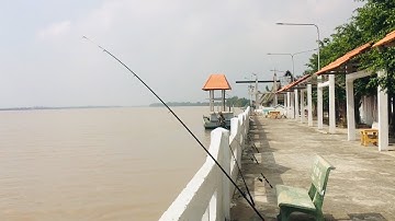 Địa điểm câu tôm, câu cá sông lý tưởng Gò công - sông Tiền