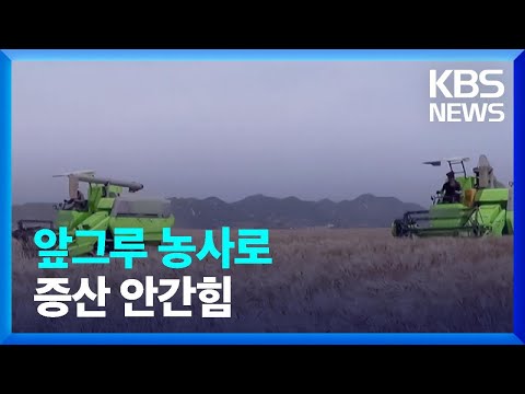 [요즘 북한은] 앞그루 농사로 <strong>증산</strong> 안간힘 외 / KBS  2022.07.30.