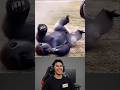 video lucu bikin ngakak parah #videolucu #videongakak