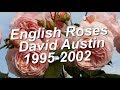 English Rose David Austin  1995-2002 / Все сорта английских роз Дэвида Остина 1995-2002