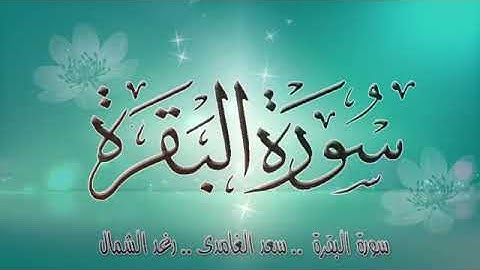 الشيخ سعد الغامدى - سورة البقرة من آية 1 الى آية 43