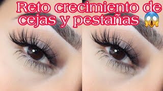Reto Crecimiento De Cejas Y Pestañas En 1 Semana Con 3 Tipos De Aceites Diferentes