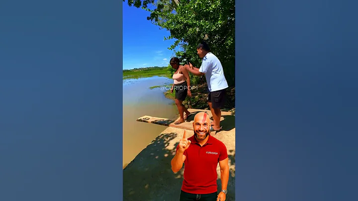 Video 11500901: laugh cat kitten, cat kitten cutest, hilarious cat, cat funny adorable, funnycats