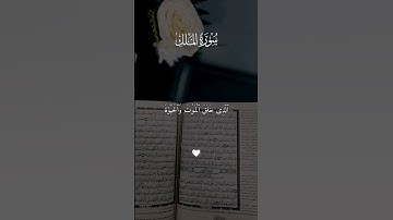 سورة الملك تلاوة عطرة للقارئ ماهر المعيقلي #القرآن_الكريم #المصحف #تيك_توك #الرحمن #اكسبلور #quran