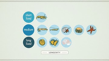 Seafloor habitat sensitivity