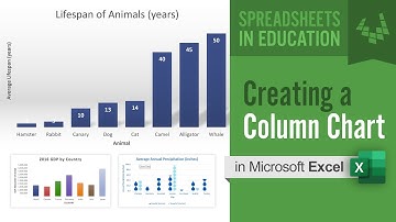 Creating a Column Chart or Bar Chart in Excel