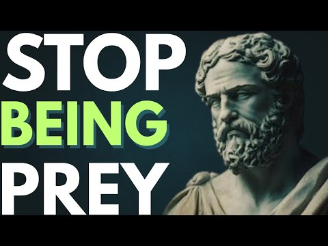 Predatorial Mindset The Predator Mindset | Stop Being a Victim of the World - YouTube