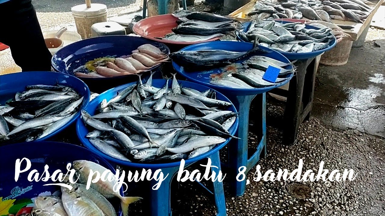 Beginilah keadaan Pasar Payung Batu 8 di Sandakan || macam² jenis ikan fresh ada dijual.