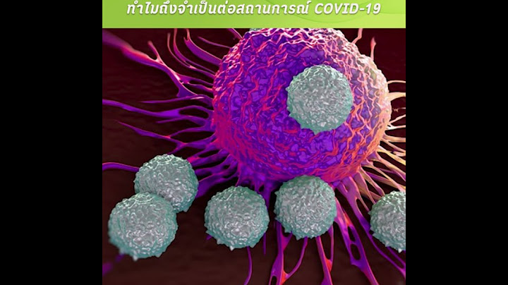 Lactobacillus sp และ bifidobacterium sp ทนอ ณหภ ม