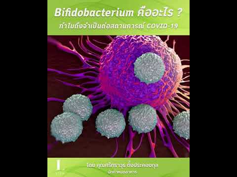 Bifidobacterium คืออะไร ? ทำไมถึจำเป็นในยุค "โควิด"