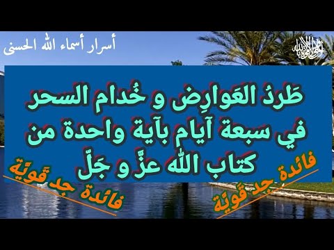 طرد العوارض و خدام السحر في سبعة أيام بآية واحدة من كتاب الله  طرد العوارض و خدام السحر في سبعة أيام بآية واحدة من كتاب الله