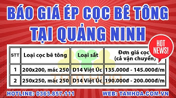 Đơn giá ép cọc bê tông tại Quảng Ninh | Hotline: 0363.857.111