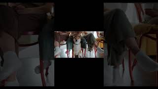 A Tail-Wagging Adventure 🐾🎥DoggoDelight