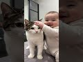quit baby and cat you like.?