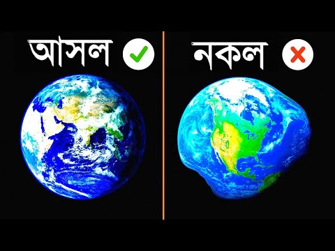 ভিডিও: কেন প্রাণী কোষ গোলাকার হয়?