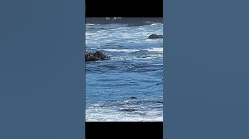 Thumbnail of 17 Mile Drive #californiaoutdoors #bayarea #california #17miledrive #roadtrips #travel #weekend