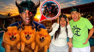 O BOI DA CARA PRETA POSSUIU NOSSOS CACHORROS E O GABRIEL! *eles tem que voltar ao normal *