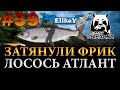 Лосось Атлантический • Фарм Серебра • Спиннинговая ловля • Река Волхов • Русская Рыбалка 4 #59