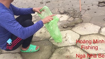 Cá Giật Mỏi Tay|| Cầu Mương Chuối Nhà Bè