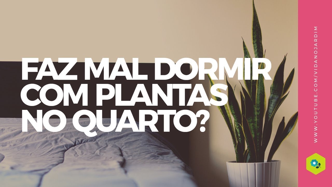 Faz mal dormir com plantas no quarto? - thptnganamst.edu.vn