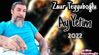 Zaur Teyyuboglu _ Ay Yetim _ 2022 Resimi