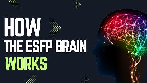 How the ESFP Brain Works