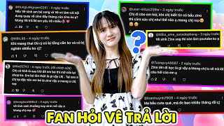 Chuyên Mục FAN Hỏi Vê Trả Lời Câu Hỏi Về Em Bé Zino - Vê Vê Channel