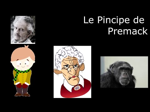 Vidéo: Quel est l'exemple du principe Premack ?