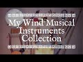 My Wind Musical Instruments Collection