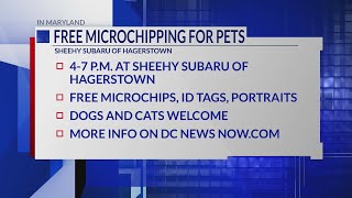 Free microchipping event at Sheehy Subaru of Hagerstown