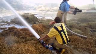Task Force Tips Blitz Fire