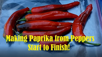 Did You Know Paprika is Made From Peppers? Make it at Home, Simple And Easy, Save $$!