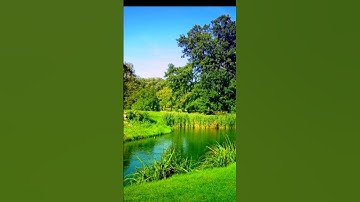 سوره الضحى بصوت جميل 💙