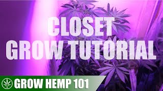 Building a Closet Grow & Timelapse Grow Tutorial