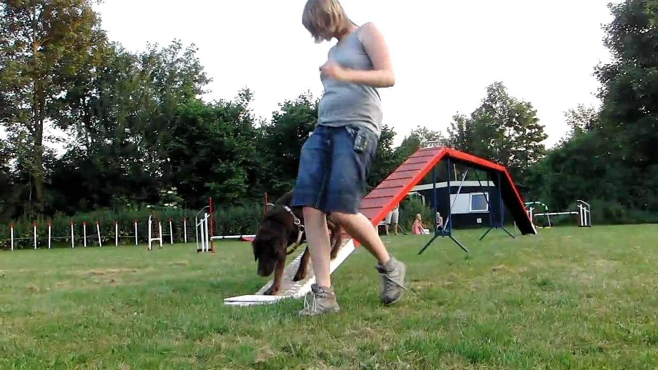 Rex Agility(kattenloop) Hondenschool Speed Almere d.d. 28-06-2010