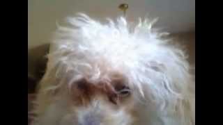 Capture 20140503