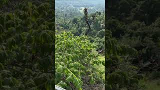 ඔබේ මේ වඳුරු සිත.. ශ්‍රේෂ්ඨ මනුෂ්‍යත්වයෙනුත් ඔබ්බ දක්වා අරන් යන්න  | MahaGuru - මහාගුරු